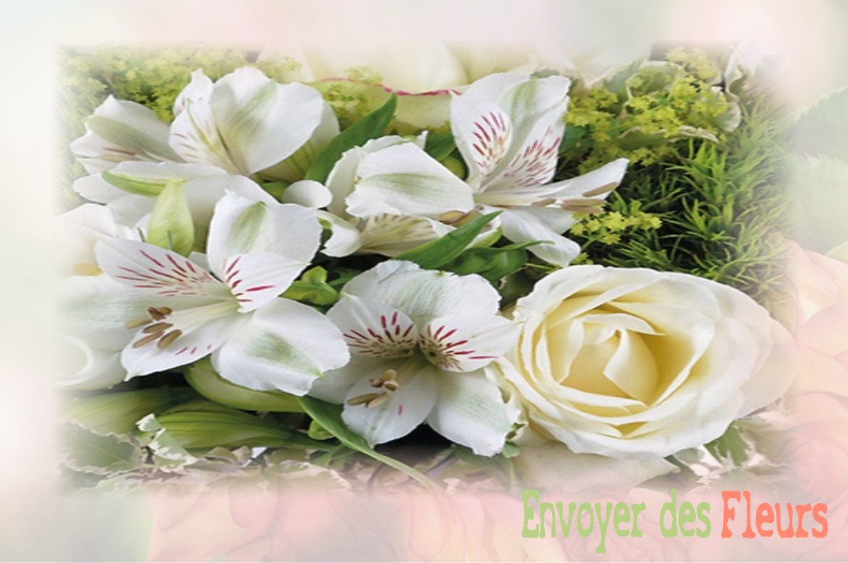 envoyer des fleurs à à DAMPIERRE-EN-GRACAY